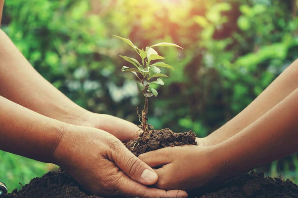 2 people cupping a plant in soil