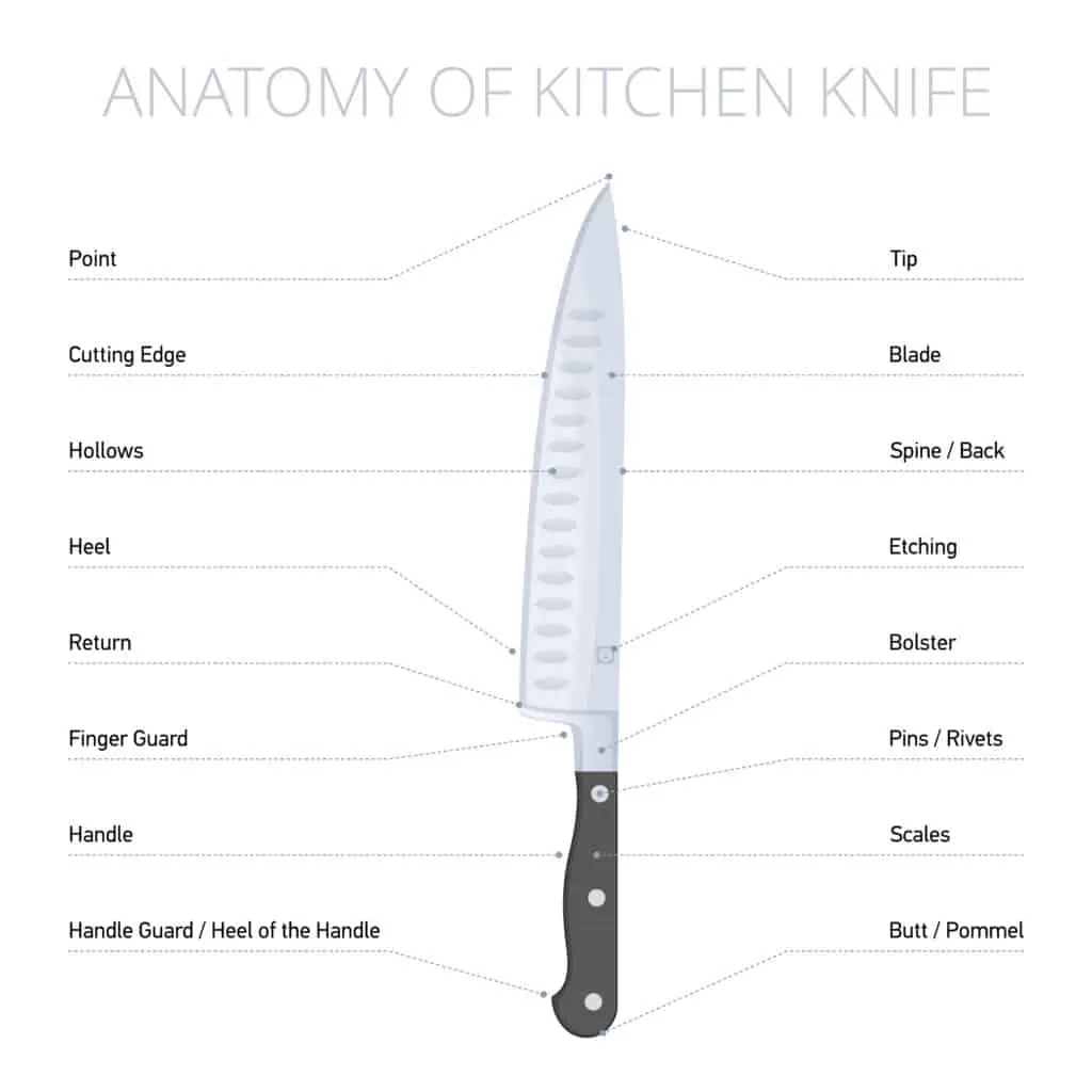 Kitchen knife parts diagram: blade, bolster, handle, spine, edge, butt, heel. Flat illustration of cooking steel tool with callouts. Vector design infographic elements isolated on white background.