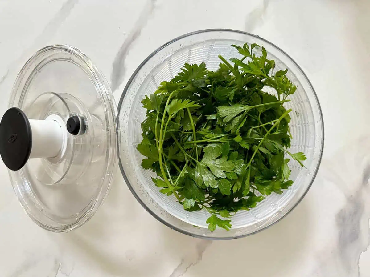 Parsley leaves in a salad spinner.